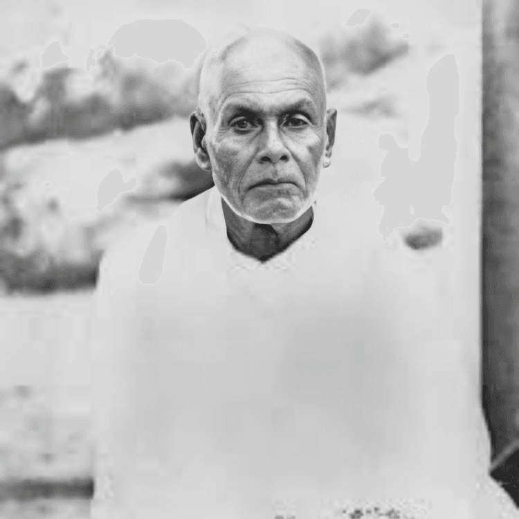Sree Narayana Guru